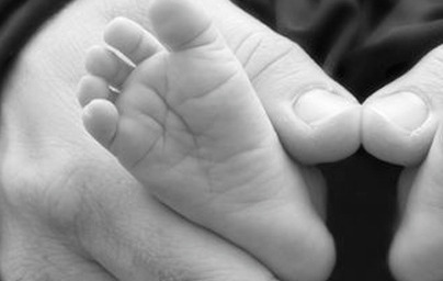 Folna kislina (vitamin B9)